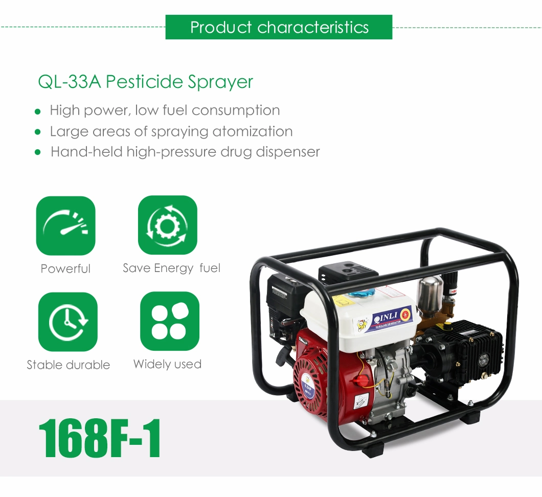 Plunger Pump Gasoline Engine Push Sprayer Mist Blower Machine /Agriculture Portable Pump Power Garden Sprayer/Agriculture Spray Machine/Garden Machinery Spraye